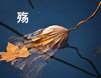 殇-太多钢琴谱文件(五线谱、双手简谱、数字谱、Midi、PDF)免费下载