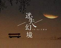 迷失幻境-没来得及说抱歉你已经不在身边-抖音热歌钢琴谱文件(五线谱、双手简谱、数字谱、Midi、PDF)免费下载