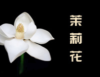 茉莉花钢琴谱文件(五线谱、双手简谱、数字谱、Midi、PDF)免费下载