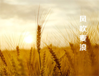 风吹麦浪-2013央视春晚-EOP教学曲钢琴谱文件(五线谱、双手简谱、数字谱、Midi、PDF)免费下载