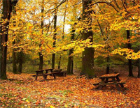 Autumn Leaves-李闰珉钢琴谱文件(五线谱、双手简谱、数字谱、Midi、PDF)免费下载