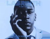 Beneath Your Beautiful-Labrinth & Emeli Sandé钢琴谱文件(五线谱、双手简谱、数字谱、Midi、PDF)免费下载