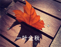 治愈系-一叶金秋钢琴谱文件（五线谱、双手简谱、数字谱、Midi、PDF）免费下载