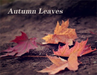 Autumn Leaves-Ed Sheeran钢琴谱文件(五线谱、双手简谱、数字谱、Midi、PDF)免费下载