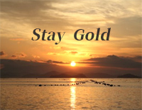 Stay Gold-宇多田光钢琴谱文件(五线谱、双手简谱、数字谱、Midi、PDF)免费下载