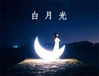 白月光-张信哲钢琴谱文件(五线谱、双手简谱、数字谱、Midi、PDF)免费下载