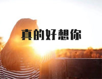 真的好想你-周冰倩钢琴谱文件(五线谱、双手简谱、数字谱、Midi、PDF)免费下载