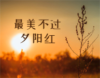 最美不过夕阳红-夕阳红主题曲-张丕基钢琴谱文件(五线谱、双手简谱、数字谱、Midi、PDF)免费下载