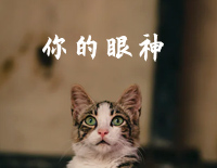 你的眼神-蔡琴钢琴谱文件(五线谱、双手简谱、数字谱、Midi、PDF)免费下载