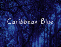 Caribbean Blue-Enya钢琴谱文件(五线谱、双手简谱、数字谱、Midi、PDF)免费下载