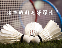洁白的羽毛寄深情-施光南钢琴谱文件(五线谱、双手简谱、数字谱、Midi、PDF)免费下载