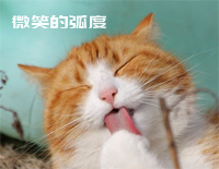 微笑的弧度-何真真钢琴谱文件(五线谱、双手简谱、数字谱、Midi、PDF)免费下载