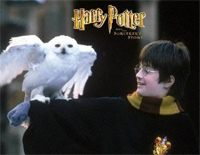 Hedwig's Theme-海德薇变奏曲-Harry Potter主题曲钢琴谱文件(五线谱、双手简谱、数字谱、Midi、PDF)免费下载