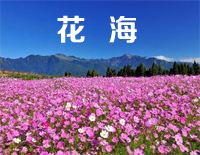 花海-周杰伦钢琴谱文件（五线谱、双手简谱、数字谱、Midi、PDF）免费下载