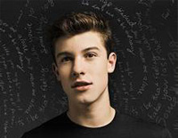 Stitches-Shawn Mendes钢琴谱文件(五线谱、双手简谱、数字谱、Midi、PDF)免费下载