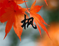 枫-周杰伦钢琴谱文件(五线谱、双手简谱、数字谱、Midi、PDF)免费下载