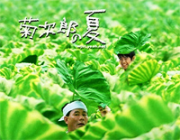 菊次郎的夏天-Summer-C调简单版钢琴谱文件(五线谱、双手简谱、数字谱、Midi、PDF)免费下载