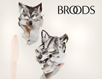 Bridges-Broods钢琴谱文件(五线谱、双手简谱、数字谱、Midi、PDF)免费下载
