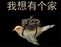 我想有个家-潘美辰钢琴谱文件(五线谱、双手简谱、数字谱、Midi、PDF)免费下载