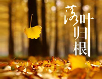 落叶归根(女生版)-王力宏钢琴谱文件(五线谱、双手简谱、数字谱、Midi、PDF)免费下载