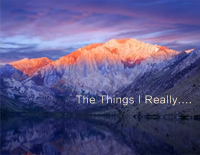 The Things I Really...-Yiruma李闰珉钢琴谱文件(五线谱、双手简谱、数字谱、Midi、PDF)免费下载