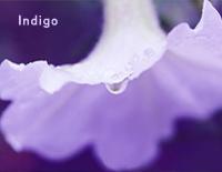 Indigo靛蓝-李闰珉Yiruma钢琴谱文件(五线谱、双手简谱、数字谱、Midi、PDF)免费下载