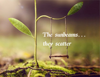 The Sunbeams... They Scatter-Yiruma钢琴谱文件（五线谱、双手简谱、数字谱、Midi、PDF）免费下载