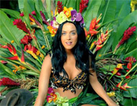 Roar(灵魂咆哮)- Katy Perry钢琴谱文件(五线谱、双手简谱、数字谱、Midi、PDF)免费下载