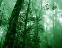 柔和-《迷雾森林》班得瑞钢琴谱文件(五线谱、双手简谱、数字谱、Midi、PDF)免费下载
