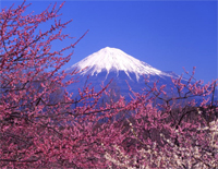君が代-日本国歌君之代钢琴谱文件(五线谱、双手简谱、数字谱、Midi、PDF)免费下载