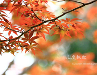 几度枫红-林海-非常好听钢琴谱文件(五线谱、双手简谱、数字谱、Midi、PDF)免费下载