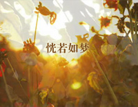 恍若如梦-夜的钢琴曲 II钢琴谱文件(五线谱、双手简谱、数字谱、Midi、PDF)免费下载