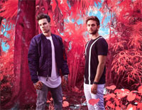 Get Low-Zedd ft Liam Payne钢琴谱文件（五线谱、双手简谱、数字谱、Midi、PDF）免费下载