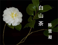 白山茶-陈雪凝钢琴谱文件(五线谱、双手简谱、数字谱、Midi、PDF)免费下载