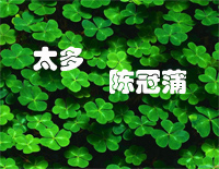 太多-陈冠蒲钢琴谱文件(五线谱、双手简谱、数字谱、Midi、PDF)免费下载