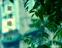 夏末晴雨时-初学者_钢琴谱文件(五线谱、双手简谱、数字谱、Midi、PDF)免费下载