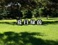 夏日绿荫-Pianoboy钢琴谱文件(五线谱、双手简谱、数字谱、Midi、PDF)免费下载