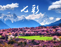 七彩-林海钢琴谱文件(五线谱、双手简谱、数字谱、Midi、PDF)免费下载
