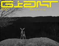 Giant-Calvin Harris and RagnBone Man钢琴谱文件(五线谱、双手简谱、数字谱、Midi、PDF)免费下载