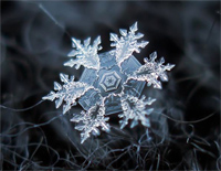 Heaven-Snowflakes-Florian Bur钢琴谱文件(五线谱、双手简谱、数字谱、Midi、PDF)免费下载