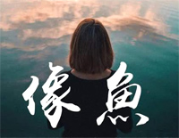 像鱼-王贰浪钢琴谱文件（五线谱、双手简谱、数字谱、Midi、PDF）免费下载