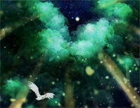 森林-灰澈钢琴谱文件(五线谱、双手简谱、数字谱、Midi、PDF)免费下载