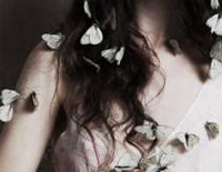 Connies Butterfly-康妮的蝴蝶钢琴谱文件(五线谱、双手简谱、数字谱、Midi、PDF)免费下载