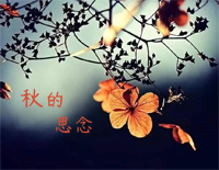 秋的思念-赵海洋钢琴谱文件(五线谱、双手简谱、数字谱、Midi、PDF)免费下载