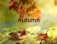 Autumn-秋钢琴谱文件(五线谱、双手简谱、数字谱、Midi、PDF)免费下载