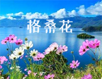 格桑花-赵海洋钢琴谱文件(五线谱、双手简谱、数字谱、Midi、PDF)免费下载