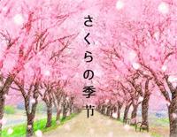 さくらの季节-柔美轻音乐钢琴谱文件(五线谱、双手简谱、数字谱、Midi、PDF)免费下载