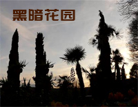 黑暗花园-石进钢琴谱文件（五线谱、双手简谱、数字谱、Midi、PDF）免费下载
