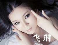 飞羽-C调简单版-梦幻诛仙主题曲钢琴谱文件(五线谱、双手简谱、数字谱、Midi、PDF)免费下载