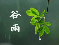 谷雨-C调简单版钢琴谱文件(五线谱、双手简谱、数字谱、Midi、PDF)免费下载